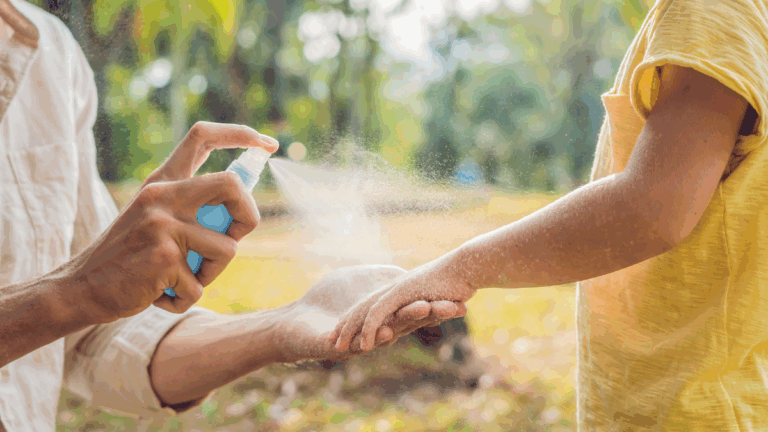 chikungunya : moustique tigre vecteur du virus du chikungunya en France