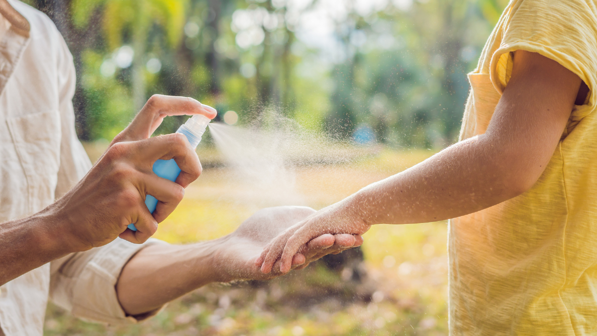 chikungunya : moustique tigre vecteur du virus du chikungunya en France
