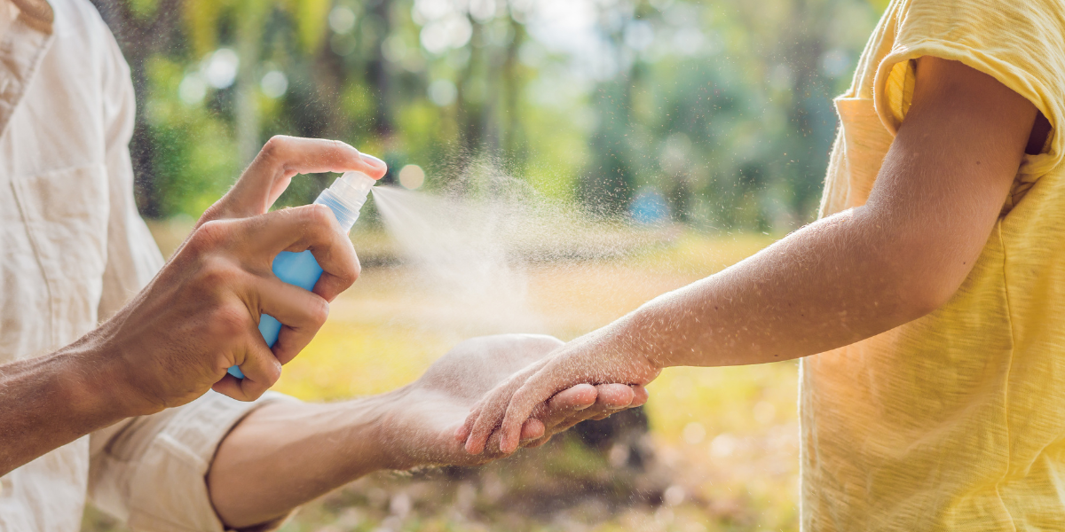 chikungunya : moustique tigre vecteur du virus du chikungunya en France